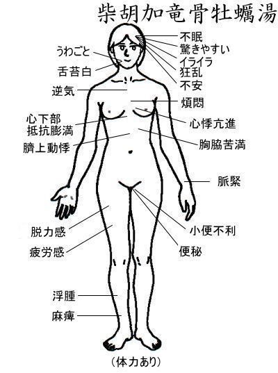 柴胡加竜骨牡蛎湯