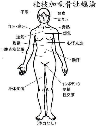 桂枝加竜骨牡蛎湯