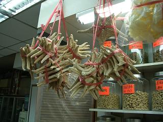 香港の薬局で売られているヒトデ