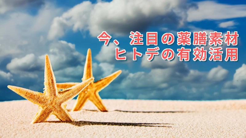 今、注目の薬膳素材ヒトデの有効活用
