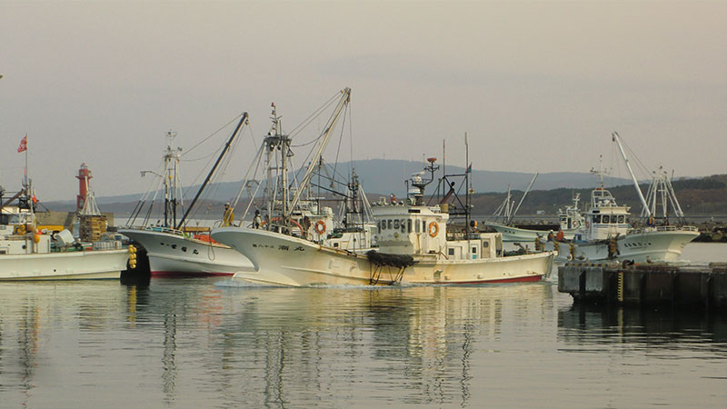 オホーツク海のホタテ漁